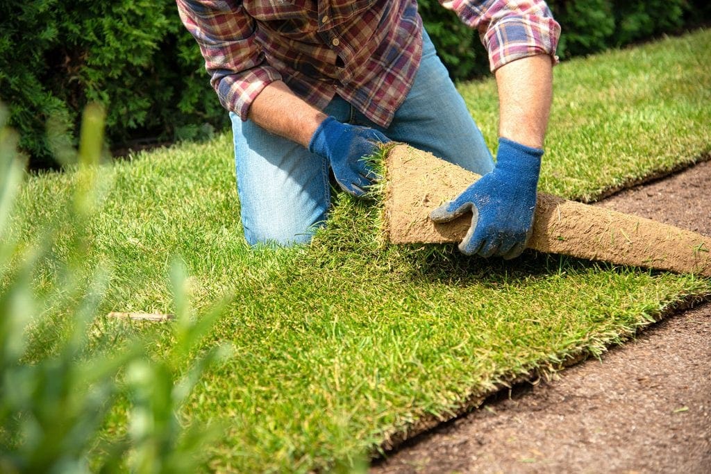 Bluegrass sod segmented retaining walls