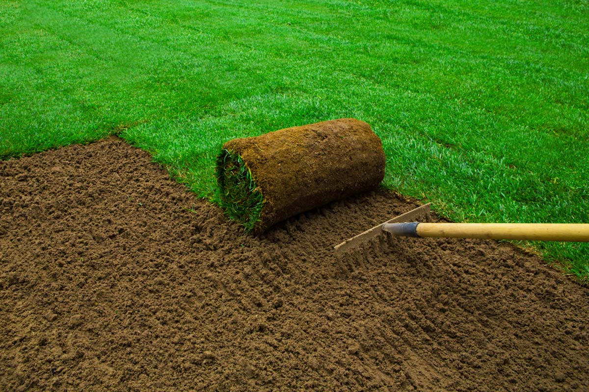 homeguide-super-fresh-green-sod-install-by-professional-landscaper Sod Installation